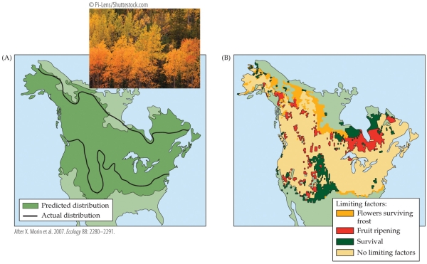 Refer to the figure.    -The figure shows the distribution of aspen in North America and the factors that limit it. If aspen evolved an adaptation that made it more drought-tolerant, the expansion of its range would most likely occur A)  in north central Canada. B)  in northwestern Canada and Alaska. C)  across the Great Plains of the United States. D)  in southeastern United States.