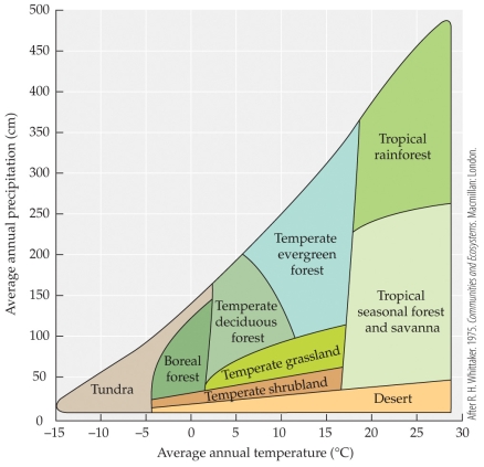 <strong>Refer to the figure. -The figure shows how biomes vary with temperature and precipitation. If the average temperature on Earth increased, what effect would this have on the distribution of boreal forests in the Northern Hemisphere?</strong> A) Boreal forests would be able to grow further south than their present range. B) Both northern and southern edges of the boreal forests would move northward. C) The total global area covered by tundra would increase. D) The distribution of boreal forests would not change.