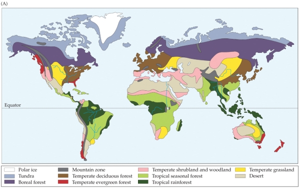 Refer to the map.   The map shows locations of biomes across the world. Going south from the Sahara Desert, you would most likely encounter which biome next? A)  Tropical seasonal forest B)  Temperate shrubland and woodland C)  Tropical rainforest D)  Temperate grassland