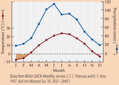 <strong>Refer to the figure. -Based on the climate diagram, precipitation is usually the highest in</strong> A) January and February. B) March and April. C) May and June. D) November and December.