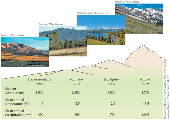 Refer to the figure.   Based on the figure, how does the climate change as one moves from the alpine to the subalpine to the montane zone of a mountain? A)  Both temperature and precipitation increase. B)  Both temperature and precipitation decrease. C)  Temperature increases and precipitation decreases. D)  Temperature decreases and precipitation increases.