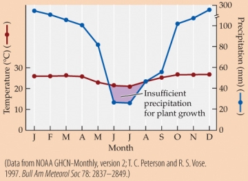 <strong>Refer to the figure. -Suppose that growing a plant requires at least 3 mm of precipitation for every 1°C that the average monthly temperature is above freezing. Based on the climate diagram and assuming that the weather conforms to the long-term average, this plant should be able to grow for about how many months of the year?</strong> A) 2 B) 4 C) 6 D) 8