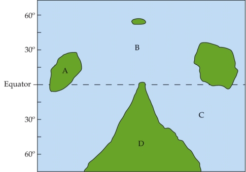  Refer to the figure.   The map is of an imaginary planet that is roughly the same as Earth. Like Earth, it is tilted on its axis by about 23<font face= symbol > \degree </font>, and it rotates around a sun-like star in approximately one year. Which site would mostly likely have the greatest variation in temperature during the year? A)  Site A B)  Site B C)  Site C D)  Site D 
