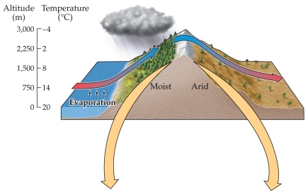 <strong>Refer to the figure. The figure illustrates the rain-shadow effect. Which of the following descriptions of what is being illustrated here is correct?</strong> A) The prevailing winds are blowing from the right side of the figure, accumulating moisture as they move up the slope, leaving the air on the right side of the mountain very dry, and then depositing the moisture as precipitation on the left side of the mountain. B) The prevailing winds are blowing from the left side of the figure, accumulating moisture as they move up the slope, depositing the moisture at the crest of the mountain, and then leaving the air descending the slope on the right side very dry. C) The prevailing winds are blowing from the left side of the figure, depositing moisture as the air moves up the slope and cools, leaving the air descending the slope on the right side of the figure very dry. D) The prevailing winds are blowing from the left side of the figure, depositing moisture as the air moves up the slope and warms, leaving the air descending the slope on the right side of the figure very dry.
