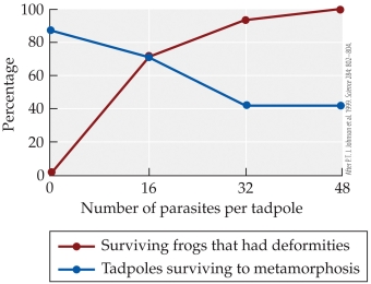 Refer to the figure.    -The figure is based on Johnson's experiment on the effects of trematode parasites on tadpoles. Suppose that 60 tadpoles are exposed to 32 parasites per tadpole. Based on the results of the figure, about how many tadpoles would you expect to survive to metamorphosis? A)  12 B)  25 C)  40 D)  58