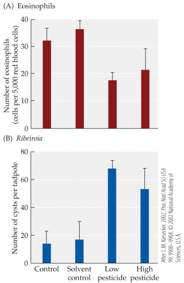 Refer to the figure.    -The figure is based on studies of the effects of pesticides on the tadpole immune system. In a laboratory experiment, wood frog (Rana sylvatica)  tadpoles were exposed to low or high concentrations of a pesticide, and then Ribeiroia parasites. The tadpoles were then examined for (A)  numbers of eosinophils and (B)  numbers of Ribeiroia cysts. Error bars show one SE of the mean. Which statement is supported by the evidence shown in the figure? A)  Tadpoles exposed to high levels of pesticides had more cysts per tadpole than those exposed to low levels of pesticides. B)  Tadpoles exposed to pesticides had fewer eosinophils than those not exposed to pesticides. C)  The number of cysts per tadpole was similar in the solvent control and low pesticide groups. D)  Pesticides decreased eosinophils more when tadpoles were exposed to high concentrations of pesticides than when they were exposed to low concentrations.