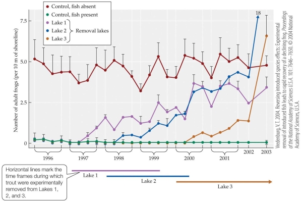 <strong>Refer to the figure. The figure represents the results of an experiment by Vredenburg, who compared the numbers of frogs in several categories of lakes: lakes never having trout (control), lakes having trout (control), and lakes from which he removed trout at different times. He observed changes in frog populations over eight years in all lakes. Based on evidence from the figure, which conclusion can be made about the effect of trout removal on frog populations?</strong> A) Frog populations in some lakes overpopulate after the removal of trout. B) Frog populations increase in some removal lakes but not in others. C) Frog populations never recover once trout have been introduced. D) Frog populations begin to recover once trout are removed.