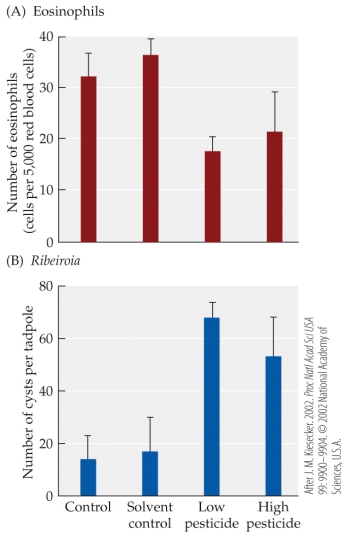 Refer to the figures.   The figures are based on studies of the effects of pesticides on the tadpole immune system. In a laboratory experiment, wood frog (Rana sylvatica)  tadpoles were exposed to low or high concentrations of a pesticide, and then to Ribeiroia parasites. The tadpoles were then examined for (A)  numbers of eosinophils and (B)  numbers of Ribeiroia cysts. Error bars show one SD of the mean. Compared with the control group, the frogs exposed to low concentrations of pesticides had about how many times as many parasite cysts? A)  1.5 B)  3 C)  4.5 D)  10