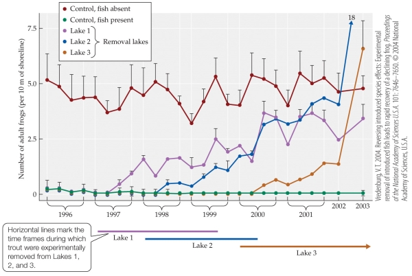 Refer to the figure.   Vredenburg studied the impact of the introduction of rainbow and brook trout on a species of amphibian, the mountain yellow-legged frog (Rana muscosa) . After showing greatly decreased frog populations in lakes with trout, he set up an experiment using three categories of lakes: lakes from which he removed trout, lakes that had never had trout, and lakes that still contained trout. He compared the number of adult frogs per 10 m of shoreline in all groups, as shown in the figure. What is the most likely reason that Vredenburg chose to use a large-scale experimental design such as this, rather than a single lake or laboratory experiments? A)  The larger design allowed Vredenburg the ability to do replications. B)  A smaller study would not adequately answer the experimental question. C)  In a larger study, it is easier to manipulate the various experimental treatments. D)  In a real-world situation such as this, all variables can be more easily controlled.