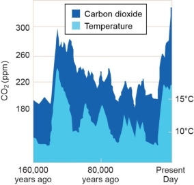 The figure below illustrates that   A)  CO<sub>2</sub> concentrations and average global temperatures are strongly linked. B)  humans are the cause of global warming. C)  Earth is about to enter another small ice age. D)  high CO<sub>2</sub> concentrations cause global warming. E)  increases to global temperatures result in increases to atmospheric CO<sub>2</sub> levels.