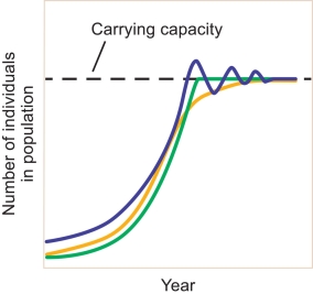 Refer to the graph below showing the change in the number of individuals over time for a population limited by density dependence.    -Growth in the population is similar when the population is low and when it approaches its carrying capacity. Explain why the growth rate is similar under such different circumstances.
