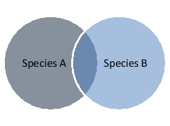 In the diagram below, each circle represents the niche of each species.    -The overlapping area represents A)  intraspecific competition. B)  parasitism of species A on species B. C)  amensalism. D)  interspecific competition. E)  predation of species B by species A.