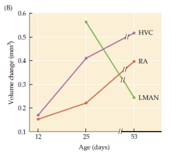 Refer to the graph.    These data show that as a bird ages, there are changes in the volume of brain regions involved in producing birdsong, specifically: higher vocal center (HVC), robustus archistriatum (RA), and lateral magnocellular nucleus of the anterior neostriatum (LMAN). How does each region change, and what does this suggest about their function in birdsong?