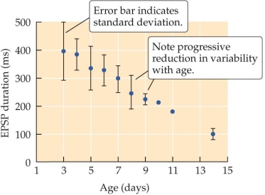Refer to the figure.    These data show the maturation of excitatory synapses in the rat neocortex. From the graph, what can you conclude about how the duration of the postsynaptic potential changes as development progresses? What does the reduction in standard deviation error bars indicate?
