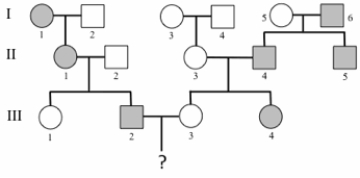 What is the probability that offspring ? is affected?   A)  33% B)  25% C)  50% D)  100%