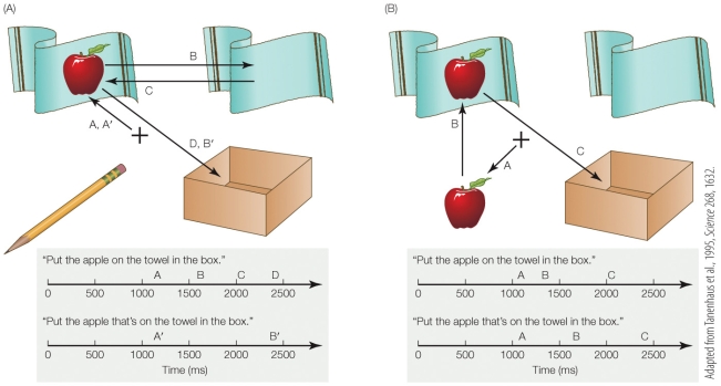 Refer to the figure.   Based on the results of the experiment illustrated, how does context affect a subject's ability to make sense of the ambiguous component in the sentence Put the apple on the towel in the box? A)  The pencil does not aid the listener in A, but the apple in B provides context, helping the subject avoid confusion. B)  The listener is confused in both A and B. Since they do not know to look only at the apple on the towel, they look at the single apple first. C)  The time spent looking at the towel in A demonstrates a clear understanding of the sentence. D)  The two sets of timelines of eye-gaze duration in A and B show that context does not affect the listener's ability to disambiguate sentence.