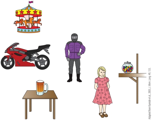 <strong>Refer to the figure. According to Kamide et al.'s 2003 study, where would subjects look as they heard The beer was drunk by…?</strong> A) Participants' eyes would jump around the scene, scanning all the objects until the sentence was completed. B) Participants would look toward the girl before the sentence was even completed. C) Participants would look toward the person wearing a helmet before the sentence was even completed. D) Participants would focus on the beer until the sentence was completed.