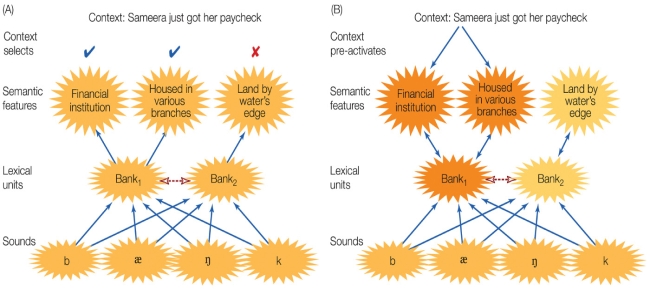 Refer to the figure.    Based on the figure, describe the effects of context on word activation and how the models in A and B differ with regard to how they characterize the influence of context on understanding the ambiguous word bank.
