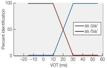 Refer to the figure.    If the figure refers to the categorical perception of /ba/ and /pa/, summarize how a person would interpret these sounds as the VOT changed for each.