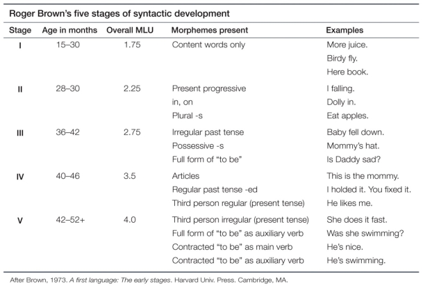 Refer to the table.   Brown's table demonstrates that a child of the age of A)  2 would be likely to say  Daddy's Coat.  B)  3 would be likely to say  I eated the apple.  C)  3 would be likely to say  Mommy gave books.  D)  2-and-a-half would be likely to say  Mommy fixed toys. 
