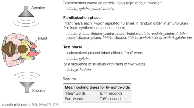 Refer to the figure.    Based on the results in the table, what can you conclude about the ability of an 8-month-old to detect words presented to him during the familiarization phase?