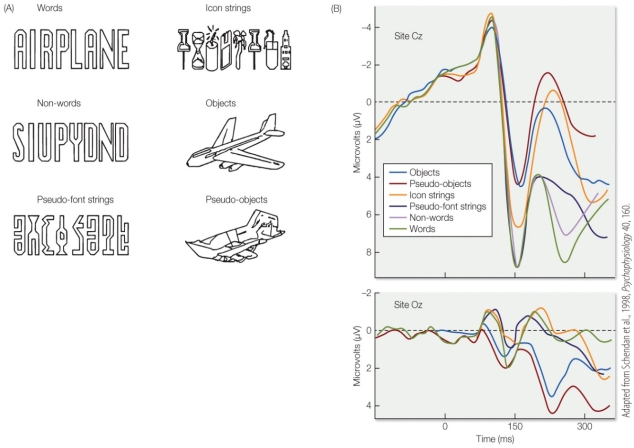 Refer to the figure. What does the figure suggest about how the brain distinguishes between words and icons or objects?