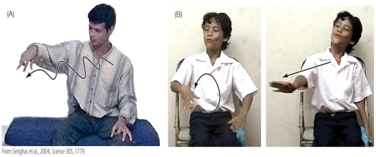 Refer to the figure.    Figure A demonstrates how a hearing individual might use a gesture, along with speech, to describe rolling downhill. Figure B demonstrates how someone using sign language might gesture to convey the same action. What do the images tell us about how each individual uses gestures to convey information? Why is this an important distinction in linguistics, and how does it allow sign languages to resemble spoken languages in terms of their expressive power?