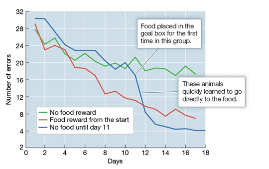 Use the following to answer questions : Refer to the graph below.     In an experiment, rats were placed in a complex maze with several one-way doors so that a rat wandering around would eventually reach the goal box. When a rat reached the goal box, it was returned to its home cage. This was repeated for several days. Rats were assigned to one of three groups: • Group 1 was provided food in the goal box every day. • Group 2 was provided food in the goal box beginning on the 11th day. • Group 3 was never provided food in the goal box. Researchers measured how many errors the rats made across trials on the way to the goal box. Results are shown in the graph. -According to the data in the graph, A)  rats that were never given food made the fewest number of errors as they navigated through the maze. B)  rats in all three groups learned to navigate through the maze at the same level of proficiency. C)  rats receiving food in the goal box from the beginning quickly learned to go there with few errors. D)  rats that were never given food eventually gave up trying to find their way through the maze.