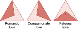 Refer to the figure below.   According to the triangular theory of love, companionate love involves A)  intimacy, commitment, and passion. B)  commitment alone. C)  passion plus intimacy. D)  intimacy plus commitment.