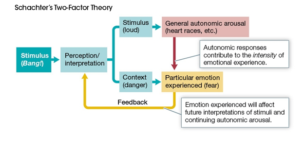 Use the following to answer questions : Refer to the figure below.     -What is true about the role played by the stimulus in emotional experience? A)  The effect of the context generally outweighs the intensity of the stimulus. B)  Even if the stimulus is unnoticed, it will weigh heavily on the interpretation of emotion. C)  Autonomic response to the stimulus has no bearing on emotional outcome or intensity of feedback. D)  An intense stimulus can outweigh the context and provide intense feedback to emotional experience.