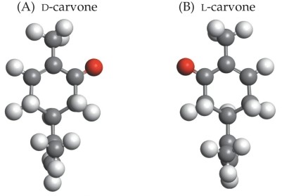 Refer to the figure.   This figure illustrates the concept of A)  odorous knowledge. B)  stereoisomers. C)  odor detection. D)  molecular binding. E)  shape-pattern invariance.