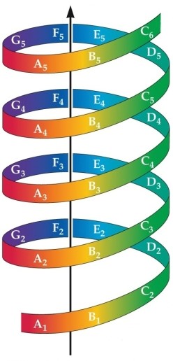 Refer to the figure.   The vertical arrow refers to the A)  tone chroma. B)  musical scale. C)  frequency range. D)  tone height. E)  timbre.