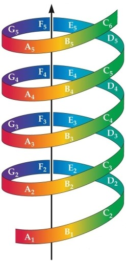 Refer to the figure.   The colors of the ribbon refer to the A)  tone chroma. B)  musical scale. C)  frequency range. D)  tone height. E)  timbre.