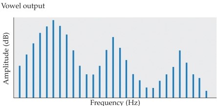 Refer to the graph.   In this graph, the peaks are referred to as A)  troughs. B)  formants. C)  sine waves. D)  positive values. E)  maxima.