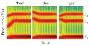Refer to the figure.   This figure shows _______ of sounds. A)  graphs B)  frequencies C)  articulations D)  spectrograms E)  vocalization plots