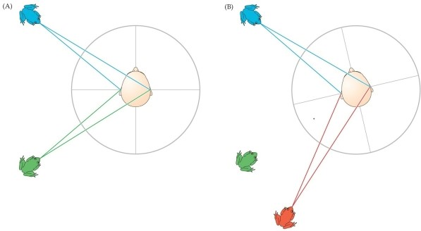 Refer to the figure.   What concept does this figure illustrate? A)  Sound ambiguities cannot be resolved even if the observer turns their head. B)  After hearing a noise, people usually turn their heads reflexively. C)  Interaural time differences do not allow for sound localization. D)  Interaural level differences do not allow for sound localization. E)  Turning one's head can help with sound localization.