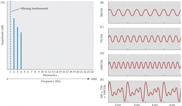 Refer to the figure.   This figure demonstrates that when only three harmonics of the same fundamental frequency are presented (B-D) , listeners still hear the pitch of the fundamental frequency because the harmonics all A)  share a common energy fluctuation of 250 Hz. B)  have the same intensity. C)  occur at the same time. D)  peak at the same amplitude which changes the frequency into a 250-Hz signal. E)  share the same pitch.