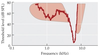 Refer to the graph.   Which frequency and volume combination would be most likely to suppress the firing of the 8000-Hz auditory nerve fiber? A)  500 Hz at 20 dB B)  500 Hz at 40 dB C)  1000 Hz at 40 dB D)  1000 Hz at 70 dB E)  8000 Hz at 60 dB