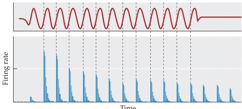 Refer to the graph.   This graph illustrates the phenomenon of A)  rate saturation. B)  phase locking. C)  spontaneous firing. D)  threshold tuning. E)  characteristic frequency.