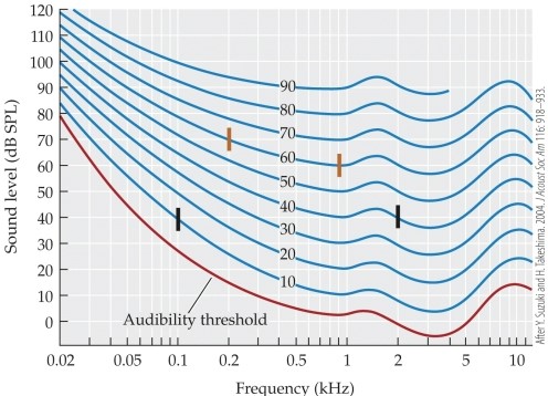 Refer to the graph.   When you play piano, why might you have to hit the keys harder with your left hand (lower notes)  than your right hand (higher notes)  to make them sound the same volume? A)  Low-frequency sounds are more condensed, making them sound louder. B)  High-frequency sounds are less condensed, making them sound softer. C)  Higher-frequency tones require higher dB levels to sound the same volume as lower-frequency tones. D)  Lower-frequency tones require higher dB levels to sound the same volume as higher-frequency tones. E)  The audibility threshold curve is lower for low-frequency sounds and higher for high-frequency sounds.