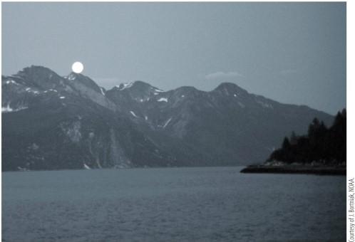 Refer to the image.   The moonlit world depicted in the image appears to be drained of color because A)  we can only use two types of rod photoreceptors under these conditions. B)  in photopic conditions, only our rods are active. C)  in scotopic conditions, only our rods are active. D)  in photopic conditions, only our cones are active. E)  in scotopic conditions, only our S-cones are active.