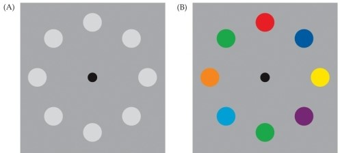 Refer to the figure.   If you stare at the right-hand image of the figure for 20 seconds, and then look at the left-hand image, which colors do the top three circles appear to be, from left to right (i.e., 11, 12, and 1 o'clock positions) ? A)  Blue, green, yellow B)  Red, blue, orange C)  Red, green, yellow D)  Yellow, green, red E)  Purple, green, orange
