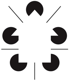 Refer to the figure.   This figure depicts A)  isoluminant contours. B)  an accidental viewpoint. C)  shadow boundaries. D)  an ambiguous figure. E)  illusory contours.