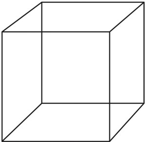 Refer to the figure.   This figure is a classic demonstration of A)  illusory contours. B)  an accidental viewpoint. C)  shadow boundaries. D)  an ambiguous figure. E)  texture segmentation.