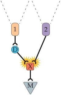 Refer to the figure.   What does D represent? A)  Direction B)  Disparity C)  Delay D)  Difference E)  Distractor