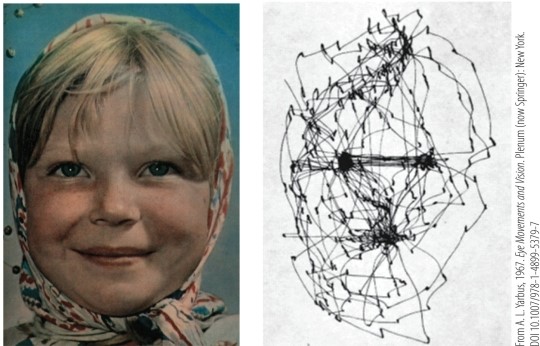 Refer to the figure.   The image on the right illustrates A)  the role of the comparator. B)  saccadic suppression. C)  a pattern of eye movements. D)  the phenomenon known as vergence. E)  points of binocular disparity.