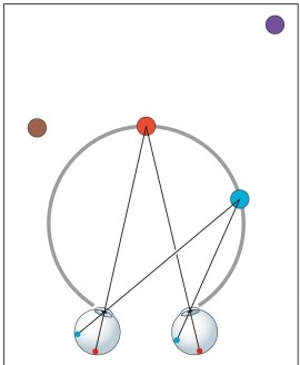 Refer to the figure.   The imaginary (gray)  circle in the figure is known as A)  the vanishing point. B)  the horopter. C)  Panum's circle. D)  the convergence point. E)  the stereo circle.
