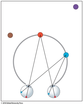 Refer to the figure.   In this figure, what do the red and blue circles have in common? A)  They have the same retinal sizes. B)  They have the same linear perspective. C)  They both have the same disparity. D)  They both have uncrossed disparity. E)  They both have crossed disparity.