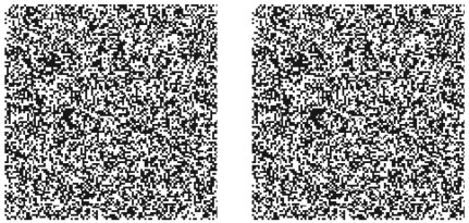 Refer to the figure.   This figure is an example of A)  a random dot stereogram. B)  motion parallax. C)  strabismus. D)  stereoblindness. E)  diplopia.