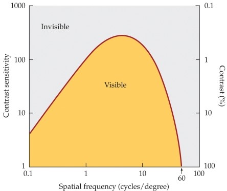 Refer to the graph.   What does the  visible  region in the graph refer to? A)  Acuity B)  The visibility of any object whose spatial frequencies and contrasts fall within it C)  The degree to which one can see from a distance of 20 feet D)  The lowest contrast one can distinguish E)  The distance at which an eye chart should be readable to a normal observer